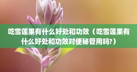吃雪莲果有什么好处和功效（吃雪莲果有什么好处和功效对便秘管用吗?）