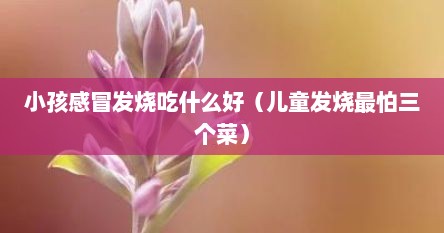 小孩感冒发烧吃什么好（儿童发烧最怕三个菜）