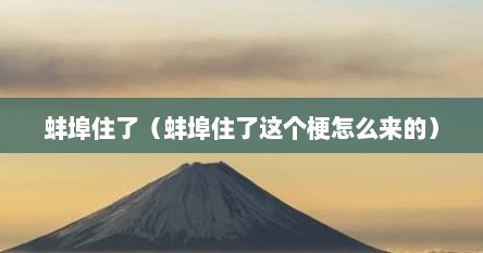蚌埠住了（蚌埠住了这个梗怎么来的）