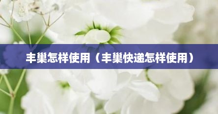 丰巢怎样使用（丰巢快递怎样使用）