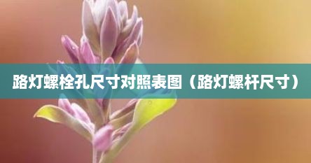 路灯螺栓孔尺寸对照表图（路灯螺杆尺寸）