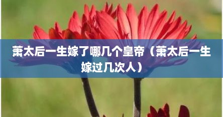 萧太后一生嫁了哪几个皇帝（萧太后一生嫁过几次人）