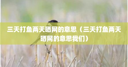 三天打鱼两天晒网的意思（三天打鱼两天晒网的意思我们）