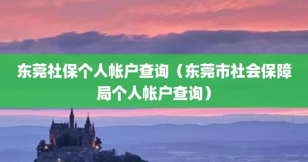 东莞社保个人帐户查询（东莞市社会保障局个人帐户查询）