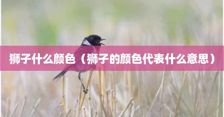 狮子什么颜色(狮子的颜色代表什么意思)