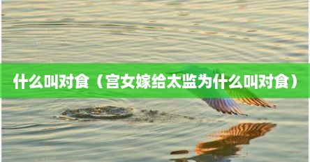 什么叫对食（宫女嫁给太监为什么叫对食）