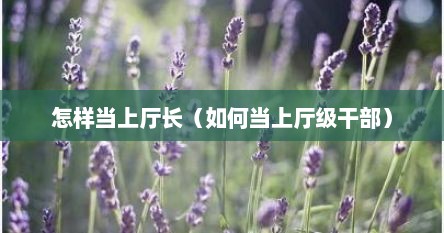 怎样当上厅长（如何当上厅级干部）