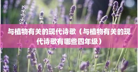 与植物有关的现代诗歌（与植物有关的现代诗歌有哪些四年级）