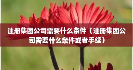 注册集团公司需要什么条件（注册集团公司需要什么条件或者手续）