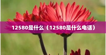12580是什么（12580是什么电话）
