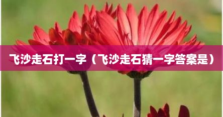 飞沙走石打一字（飞沙走石猜一字答案是）