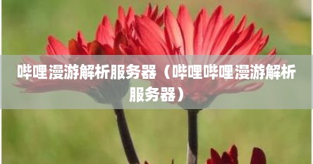 哔哩漫游解析服务器（哔哩哔哩漫游解析服务器）