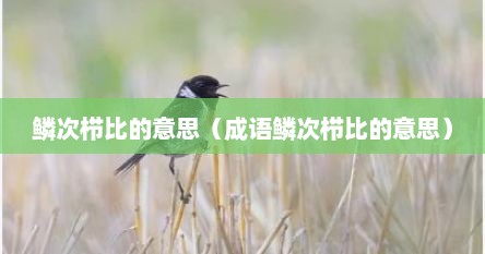 鳞次栉比的意思（成语鳞次栉比的意思）