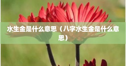 水生金是什么意思（八字水生金是什么意思）
