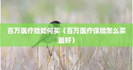 百万医疗险如何买（百万医疗保险怎么买最好）