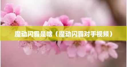 魔动闪霸是啥（魔动闪霸对手视频）