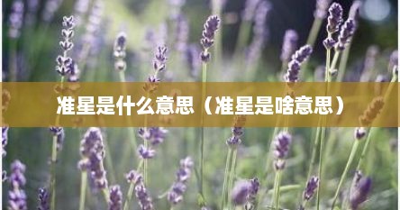 准星是什么意思（准星是啥意思）