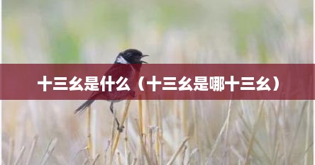 十三幺是什么（十三幺是哪十三幺）