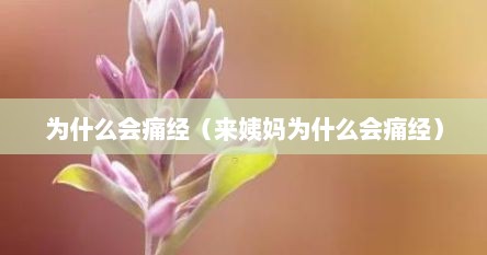 为什么会痛经（来姨妈为什么会痛经）