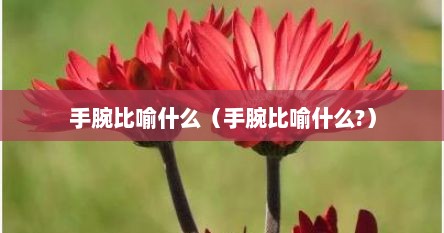 手腕比喻什么（手腕比喻什么?）