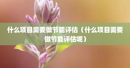 什么项目需要做节能评估（什么项目需要做节能评估呢）