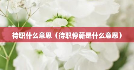 待职什么意思（待职停薪是什么意思）