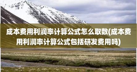 成本费用利润率计算公式怎么取数(成本费用利润率计算公式包括研发费用吗)