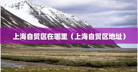 上海自贸区在哪里（上海自贸区地址）