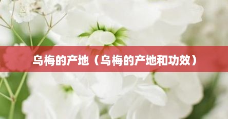 乌梅的产地（乌梅的产地和功效）