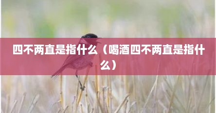 四不两直是指什么（喝酒四不两直是指什么）