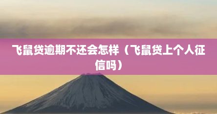 飞鼠贷逾期不还会怎样（飞鼠贷上个人征信吗）