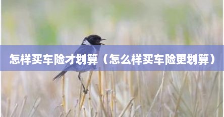 怎样买车险才划算（怎么样买车险更划算）