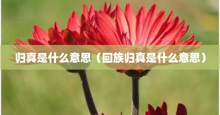 归真是什么意思（回族归真是什么意思）