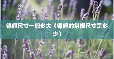 锦旗尺寸一般多大（锦旗的常规尺寸是多少）