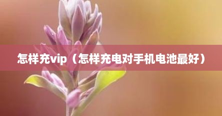 怎样充vip（怎样充电对手机电池最好）