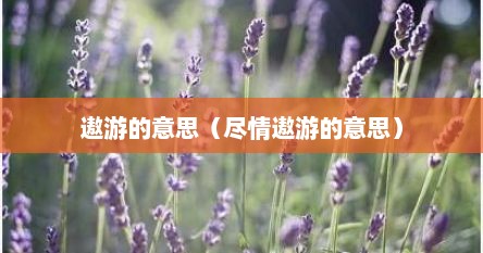 遨游的意思（尽情遨游的意思）