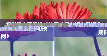 怎样把内网切换成外网（怎么把内网切换成外网）