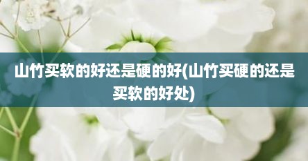 山竹买软的好还是硬的好(山竹买硬的还是买软的好处)
