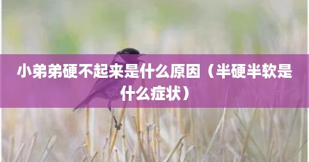 小弟弟硬不起来是什么原因（半硬半软是什么症状）