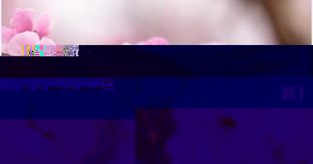 术士职业任务大全一览（术士职业任务攻略）