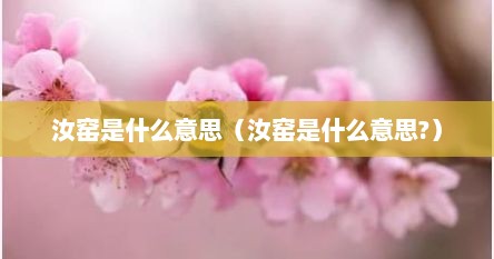 汝窑是什么意思（汝窑是什么意思?）
