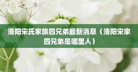 洛阳宋氏家族四兄弟最新消息（洛阳宋家四兄弟是哪里人）