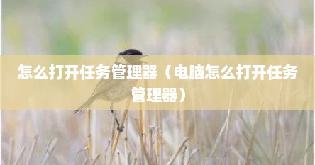 怎么打开任务管理器（电脑怎么打开任务管理器）