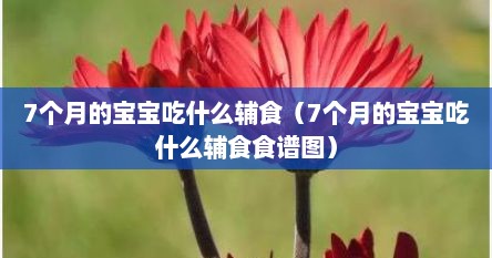 7个月的宝宝吃什么辅食（7个月的宝宝吃什么辅食食谱图）