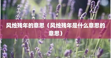 风烛残年的意思（风烛残年是什么意思的意思）