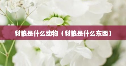 豺狼是什么动物（豺狼是什么东西）
