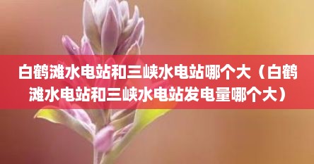 白鹤滩水电站和三峡水电站哪个大（白鹤滩水电站与三峡水电站哪个大）
