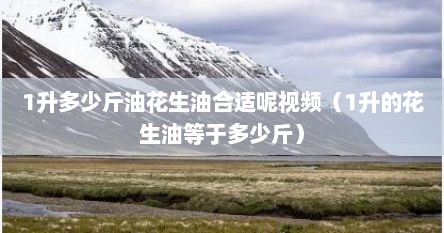 1升多少斤油花生油合适呢视频（1升的花生油等于多少斤）