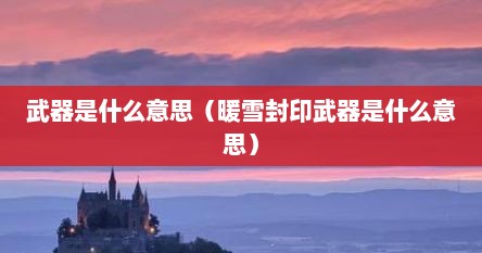 武器是什么意思（暖雪封印武器是什么意思）