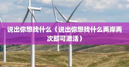 说出你想找什么（说出你想找什么两岸两次即可激活）